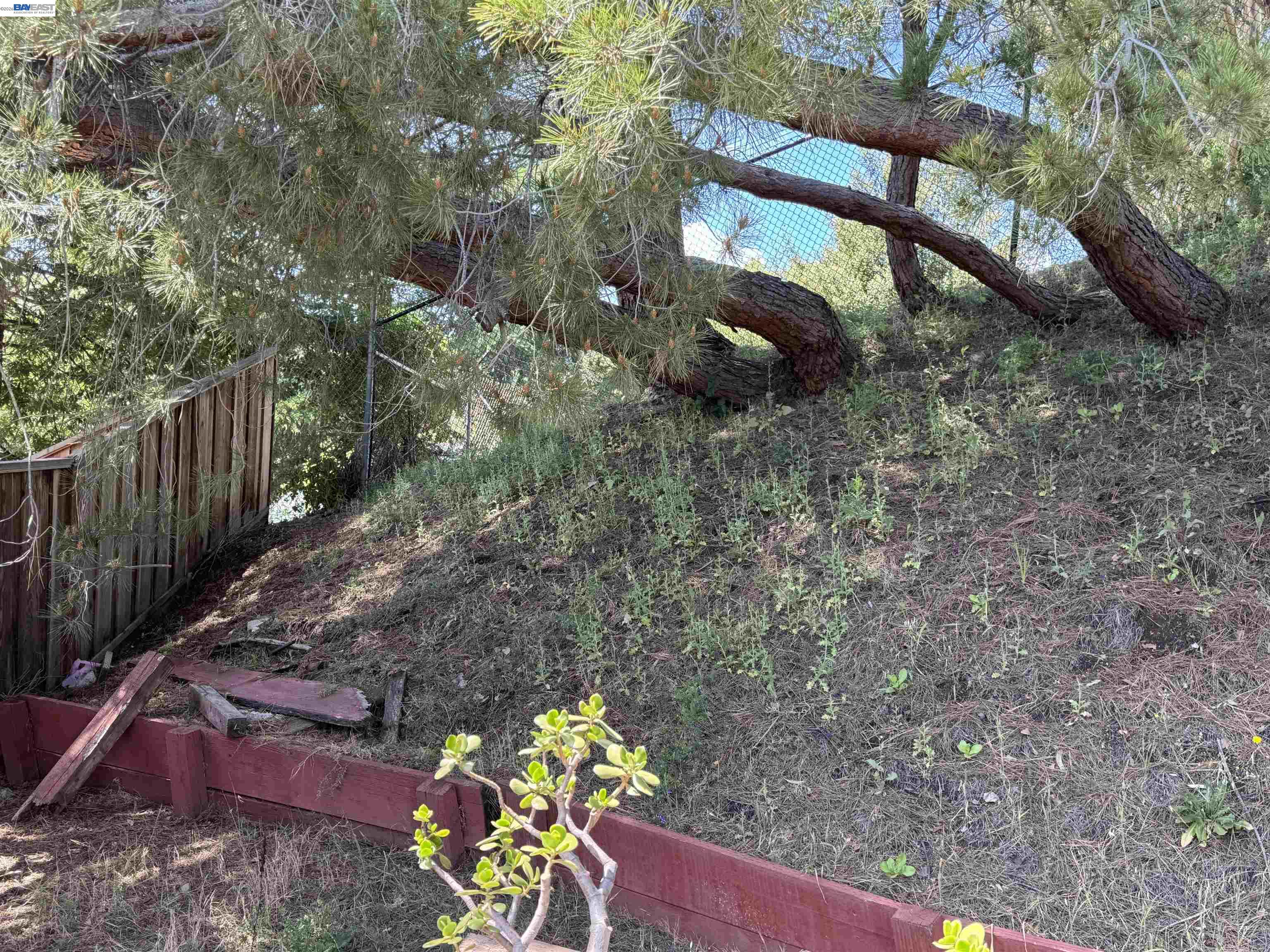 8206 Rhoda Ave, Dublin CA 94568 — photo 8