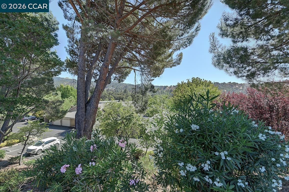 941 Terra California Dr # 4, Walnut Creek CA 94595 — photo 37