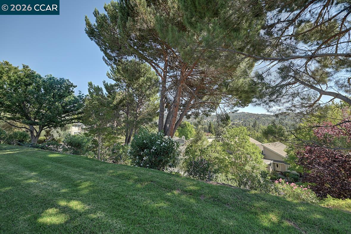 941 Terra California Dr # 4, Walnut Creek CA 94595 — photo 45