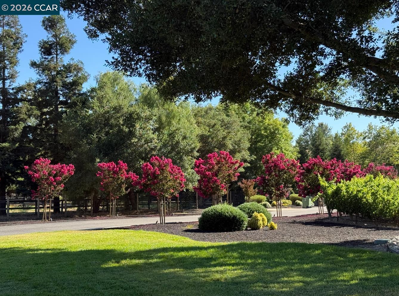5401 Penny Ln, Danville CA 94506 — photo 57
