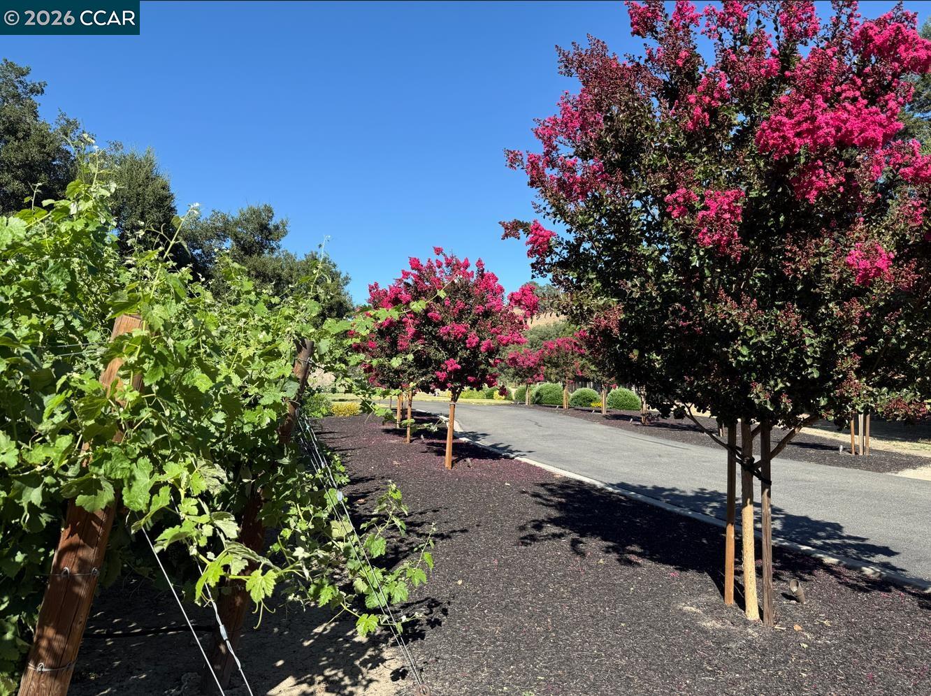 5401 Penny Ln, Danville CA 94506 — photo 58