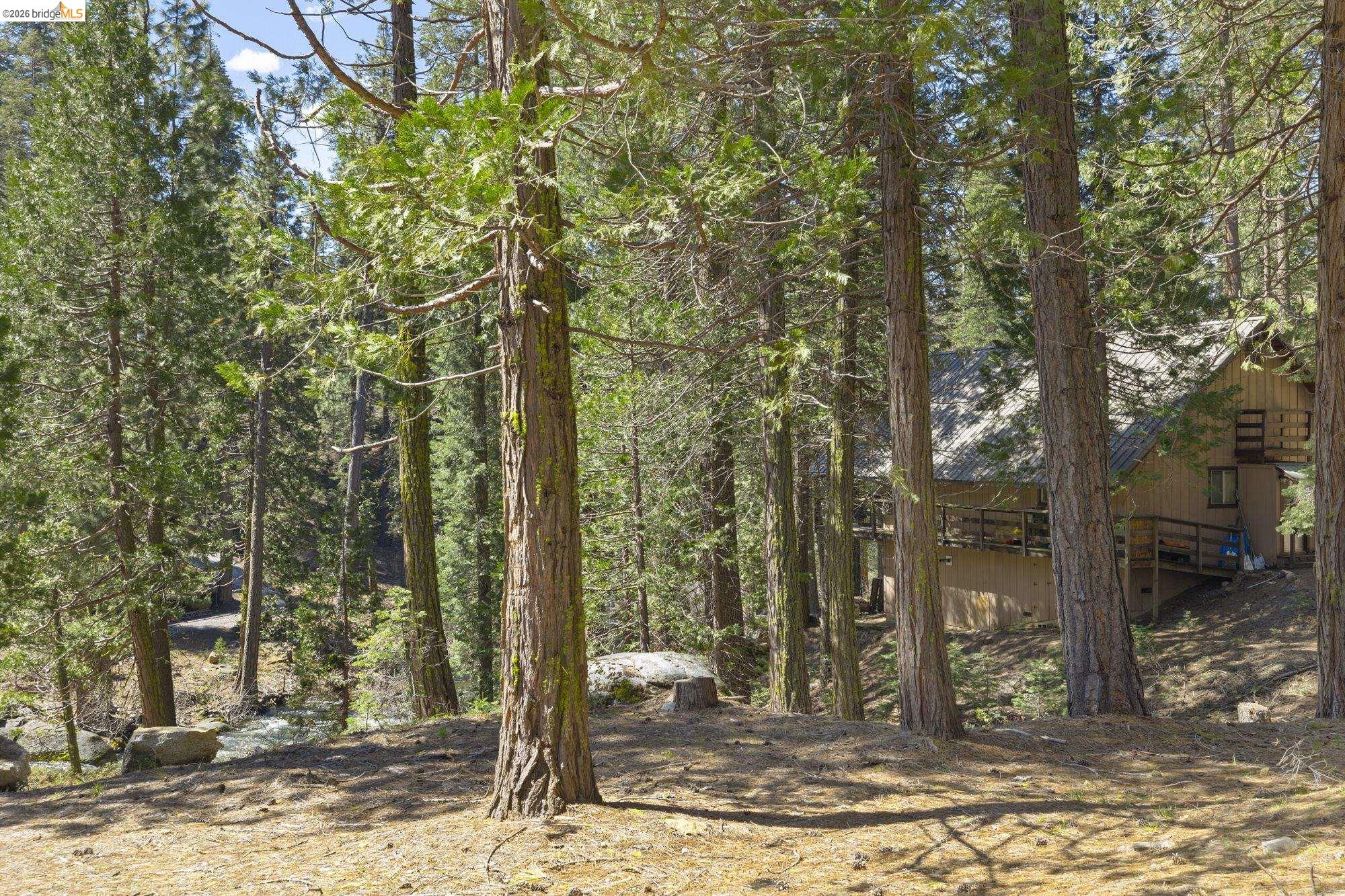 31545 Kell Lane, Strawberry CA 95375 — photo 6