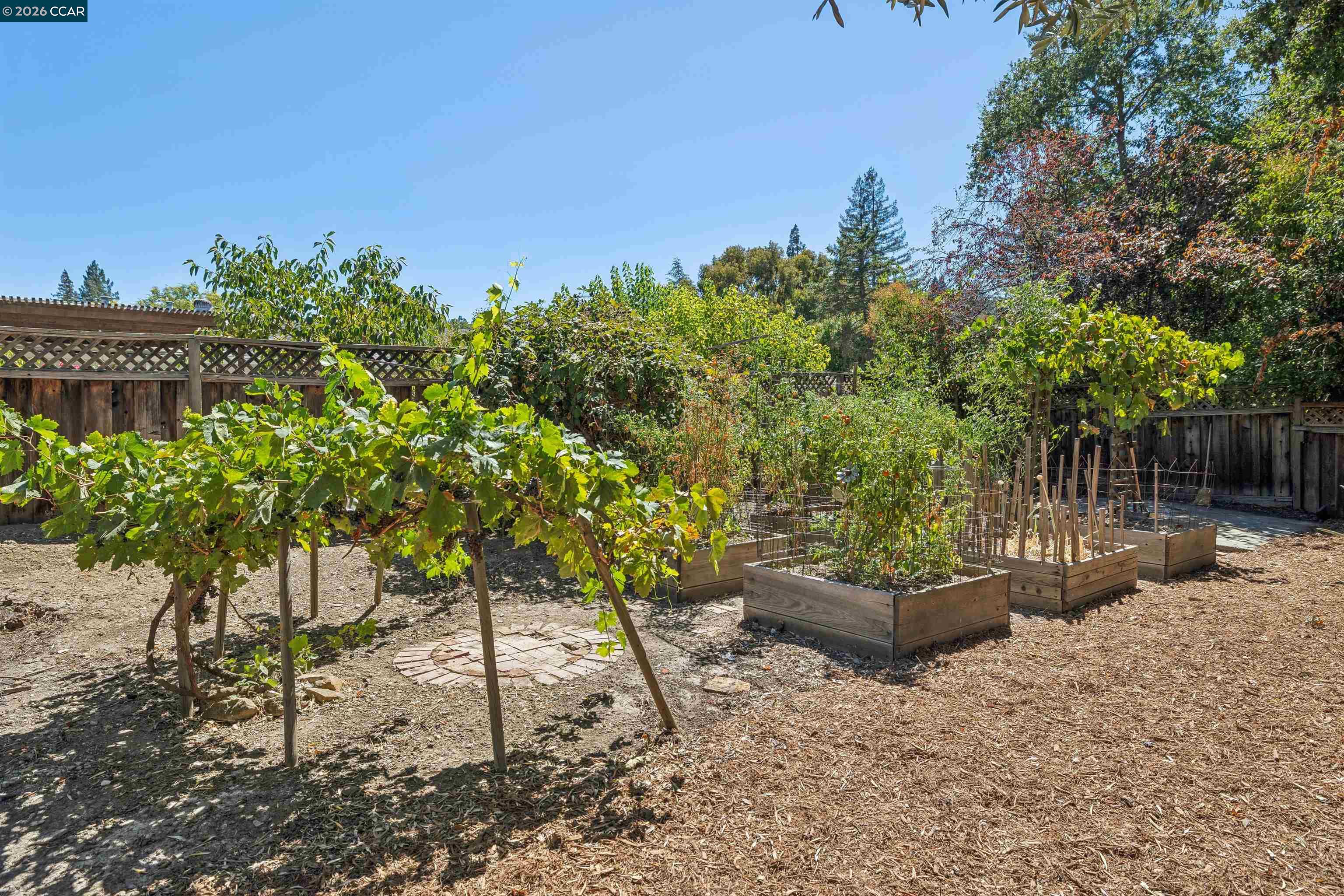 633 Laird Ln, Lafayette CA 94549 — photo 31