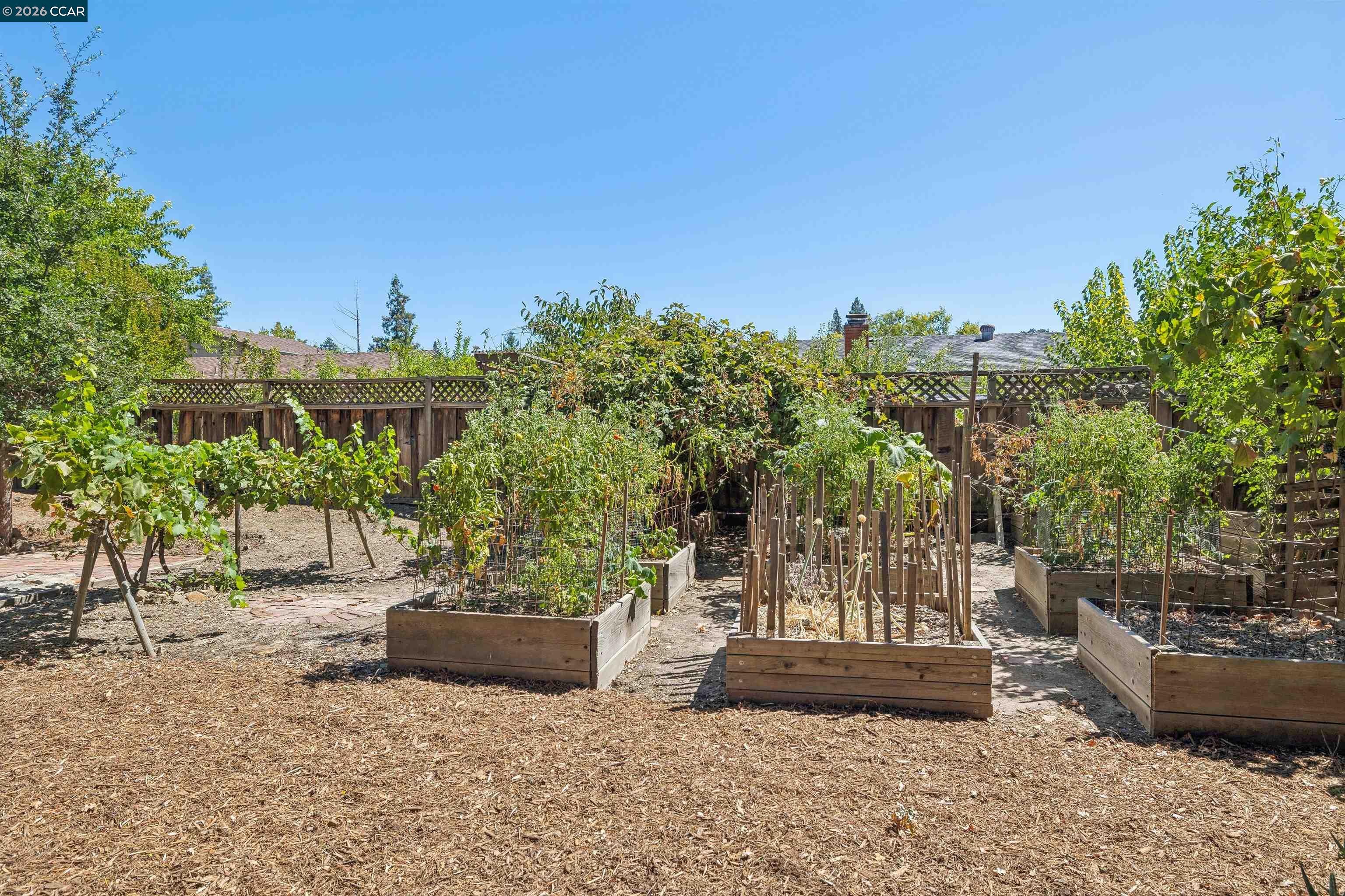 633 Laird Ln, Lafayette CA 94549 — photo 32