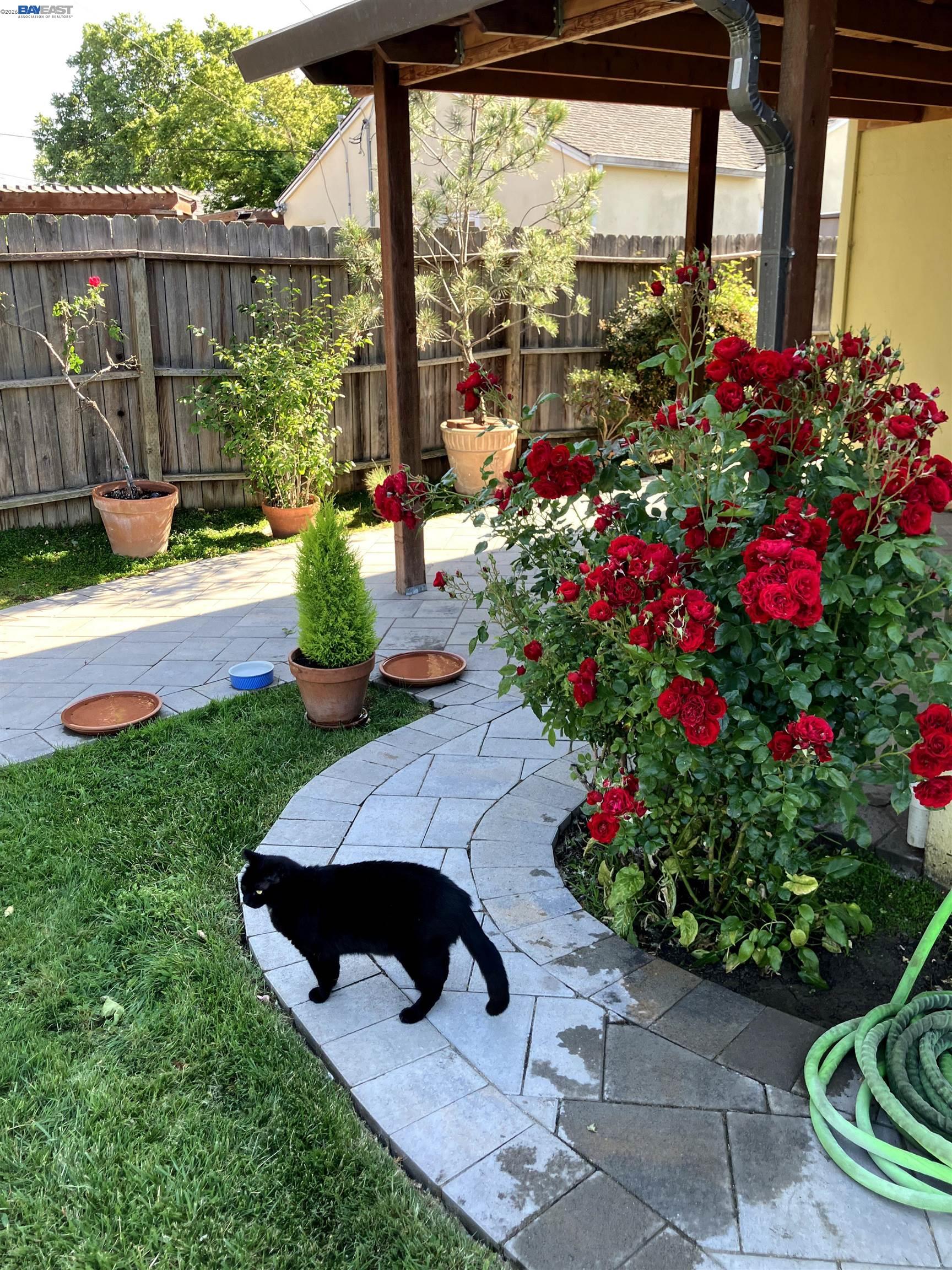 1066 Maple Ave, Vallejo CA 94591 — photo 46