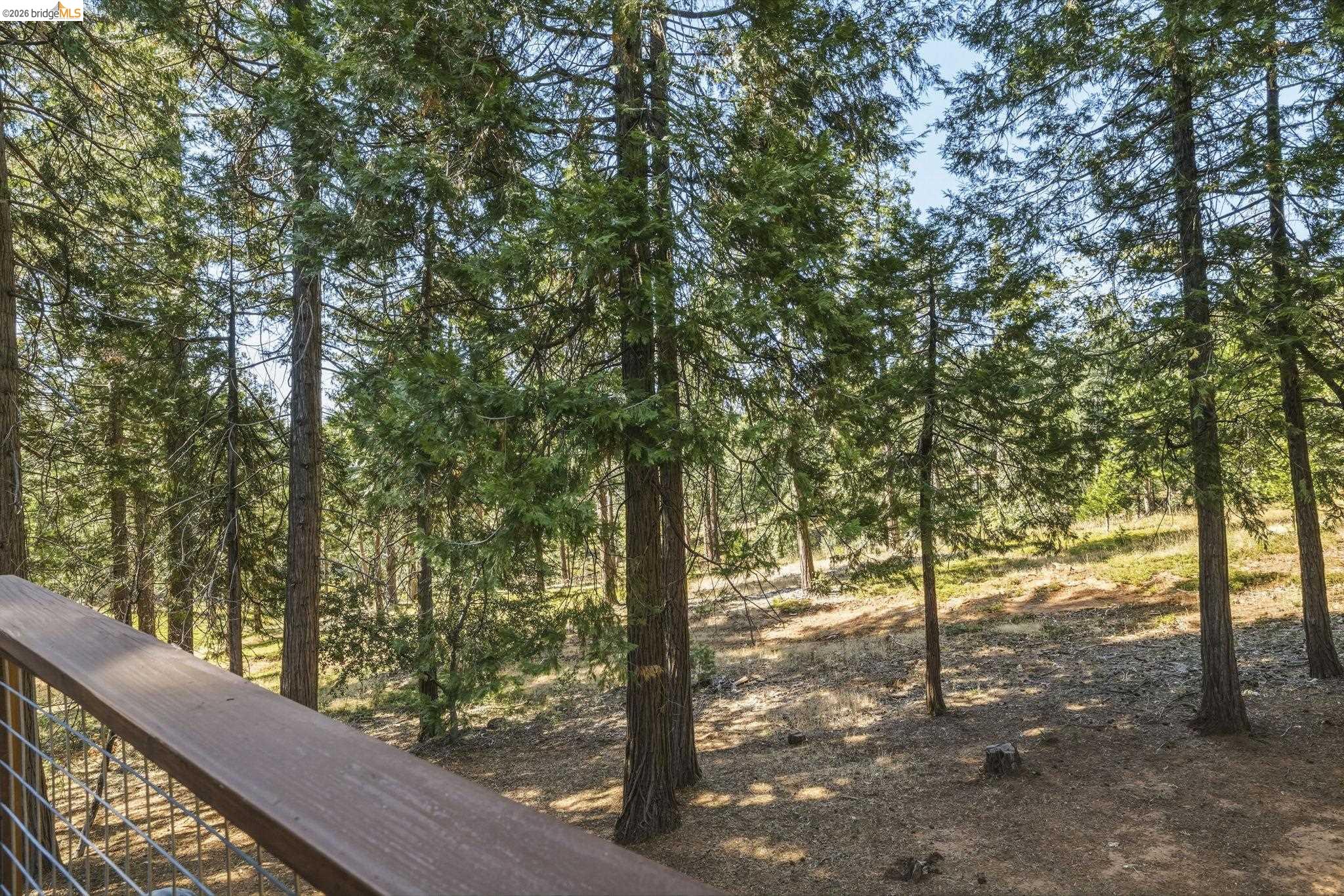 24520 Quarter Horse Dr, Sonora CA 95370 — photo 47