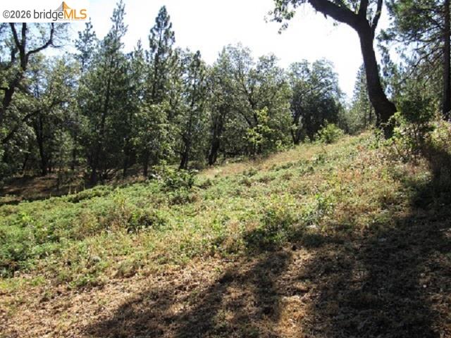 17375 Star Ridge Rd., Twain Harte CA 95383 — photo 20
