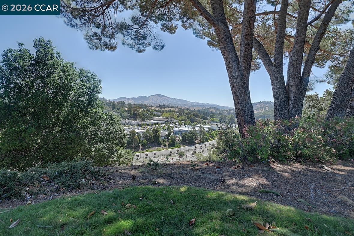 1916 Golden Rain Rd # 3, Walnut Creek CA 94595 — photo 43