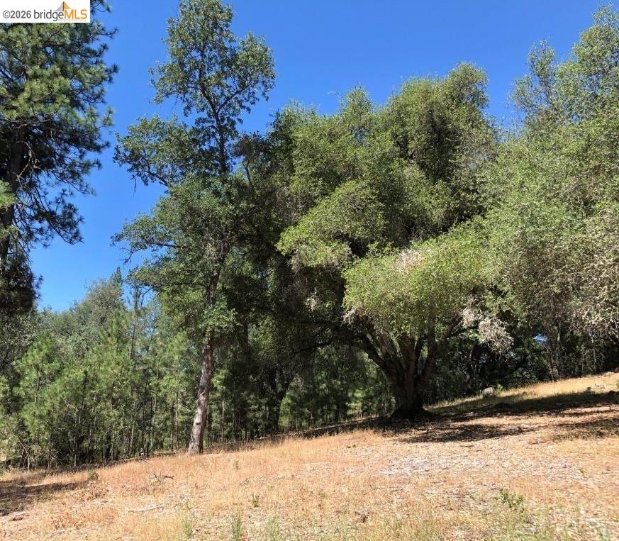21930 Lyons Bald Mountain, Sonora CA 95370 — photo 2
