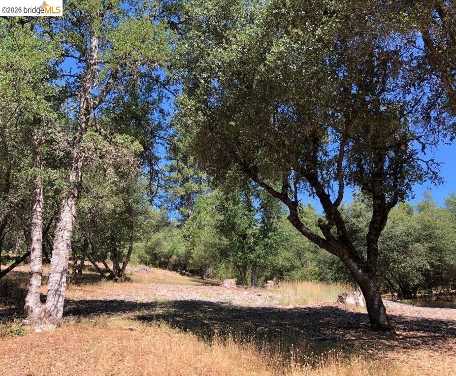 21930 Lyons Bald Mountain, Sonora CA 95370 — photo 3