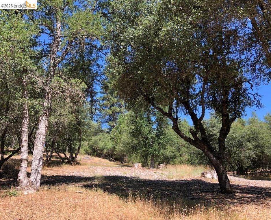 21930 Lyons Bald Mountain, Sonora CA 95370 — photo 4