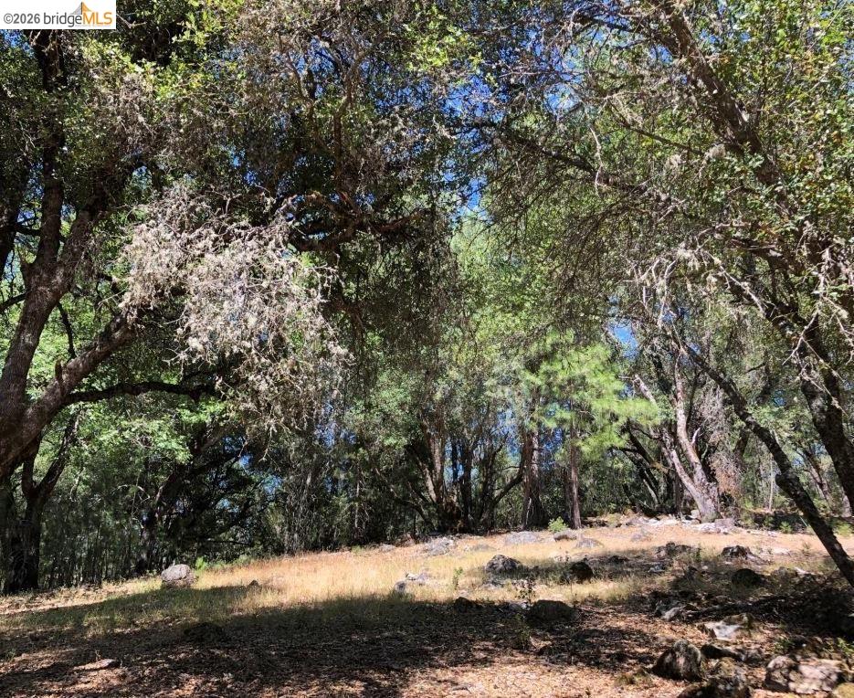 21930 Lyons Bald Mountain, Sonora CA 95370 — photo 5