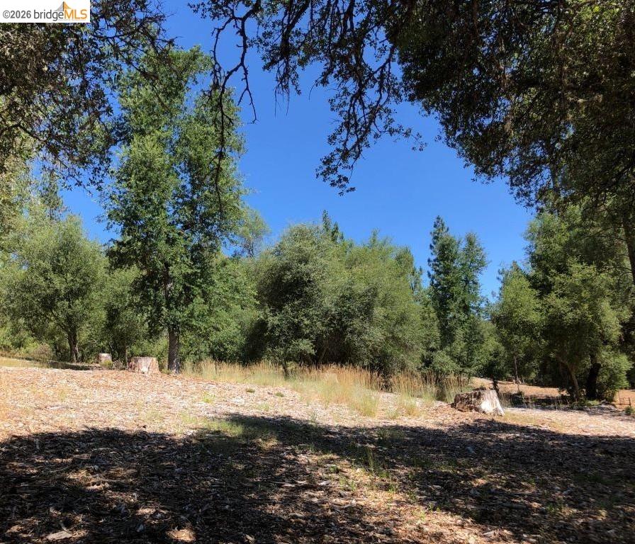 21930 Lyons Bald Mountain, Sonora CA 95370 — photo 6
