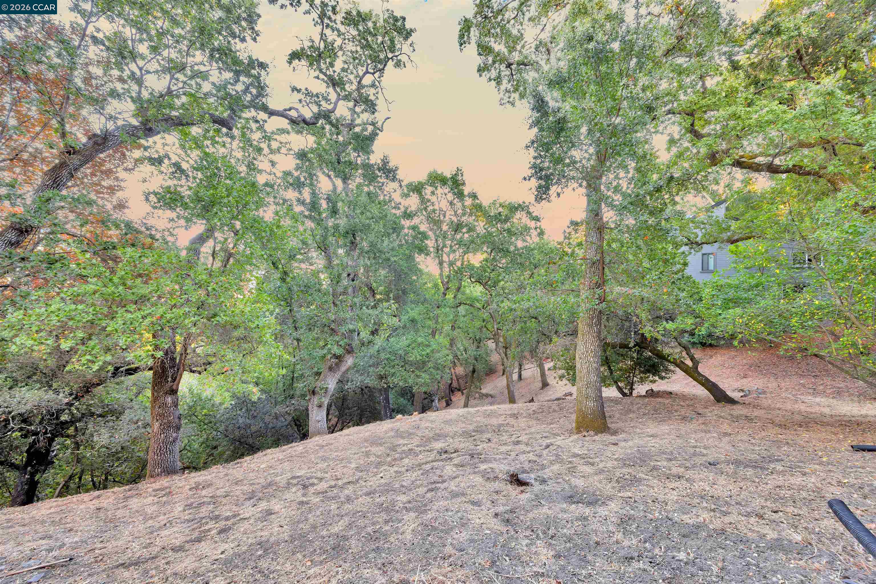 857 Las Trampas Rd, Lafayette CA 94549 — photo 29