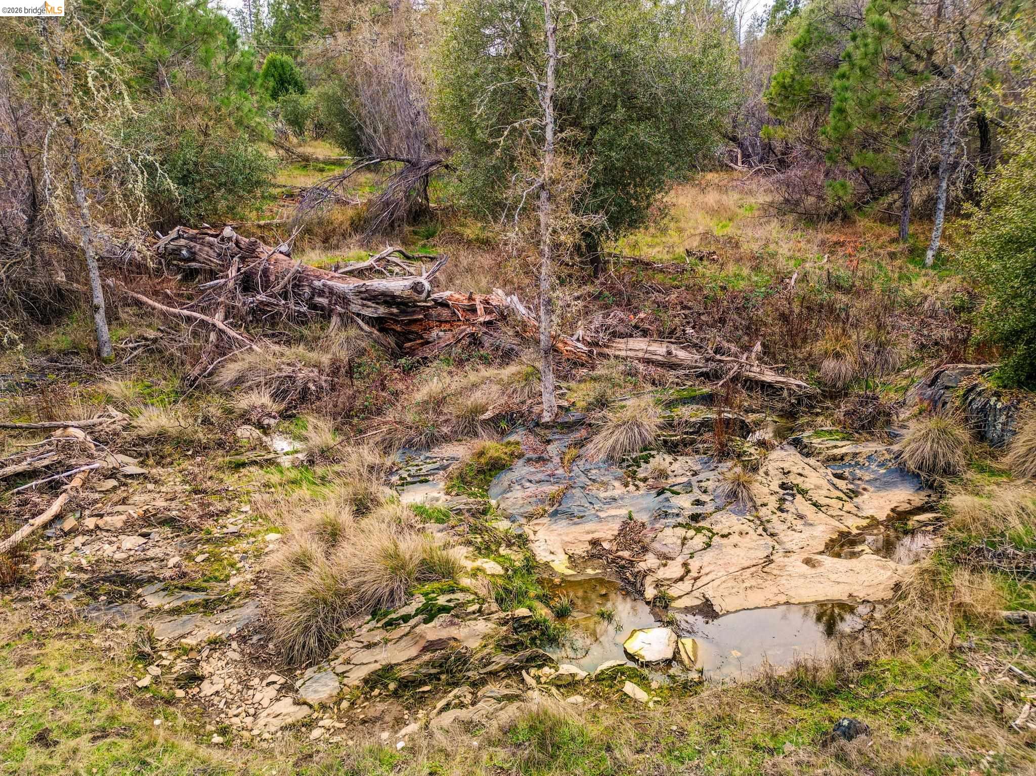 6422 Dogtown Rd., Coulterville CA 95311 — photo 9