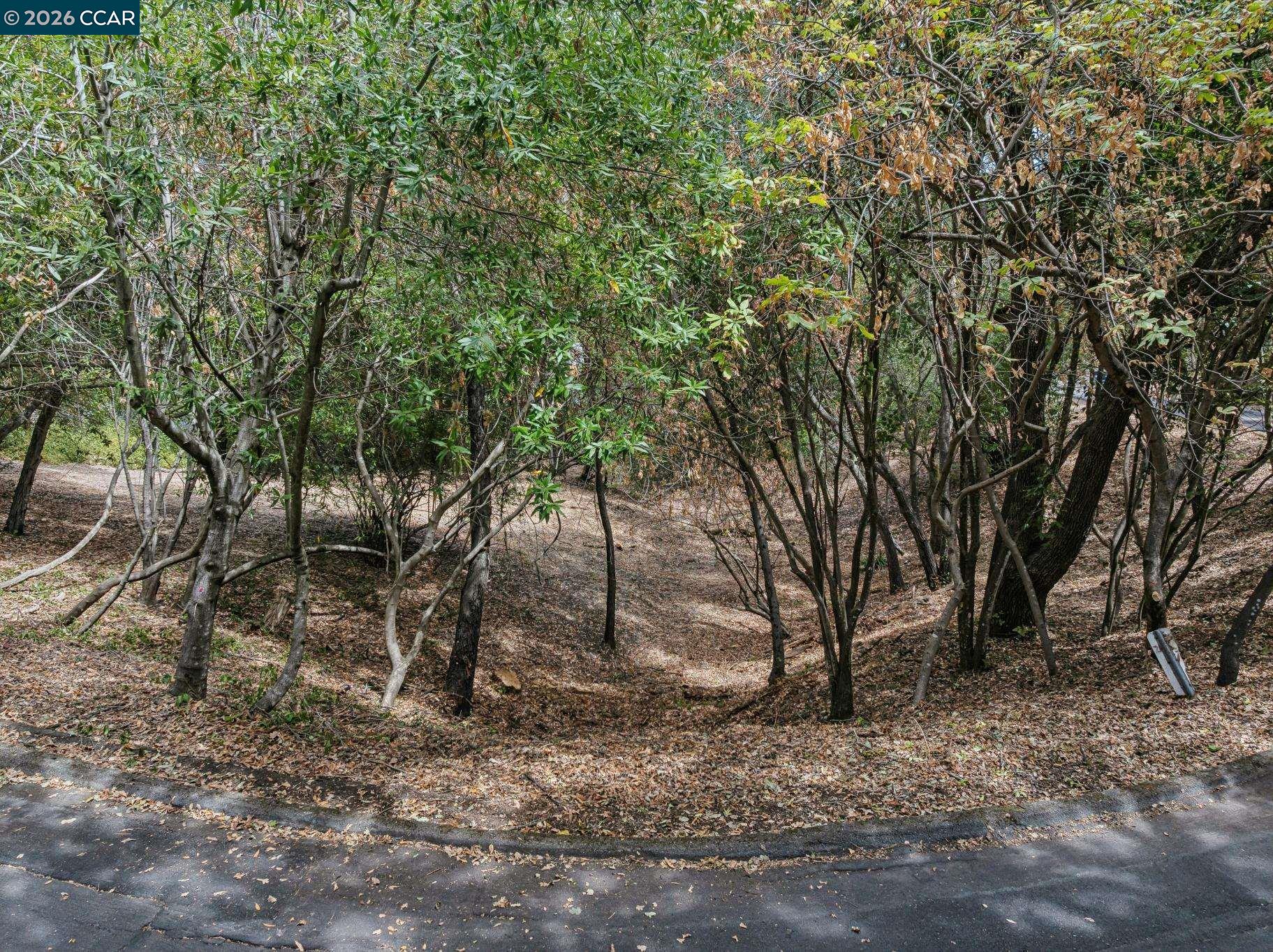 Ridge Road, Lafayette CA 94549 — photo 11