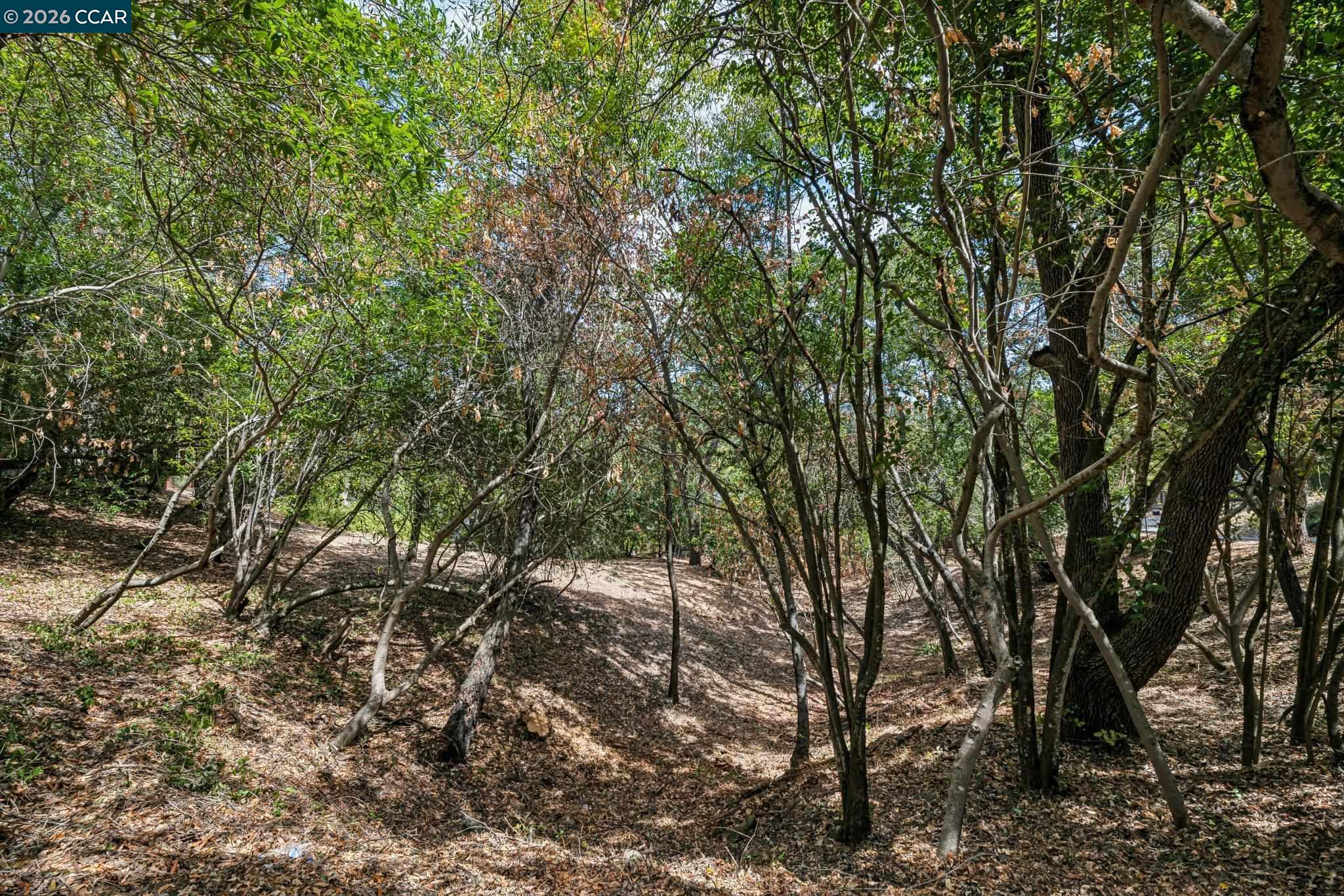 Ridge Road, Lafayette CA 94549 — photo 13
