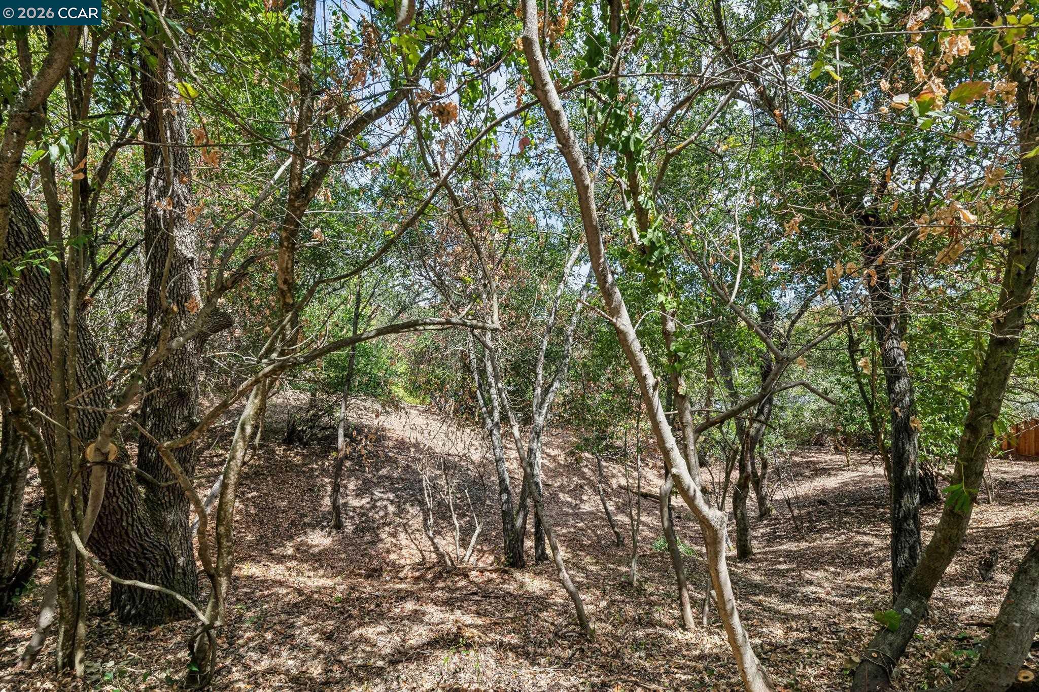 Ridge Road, Lafayette CA 94549 — photo 15