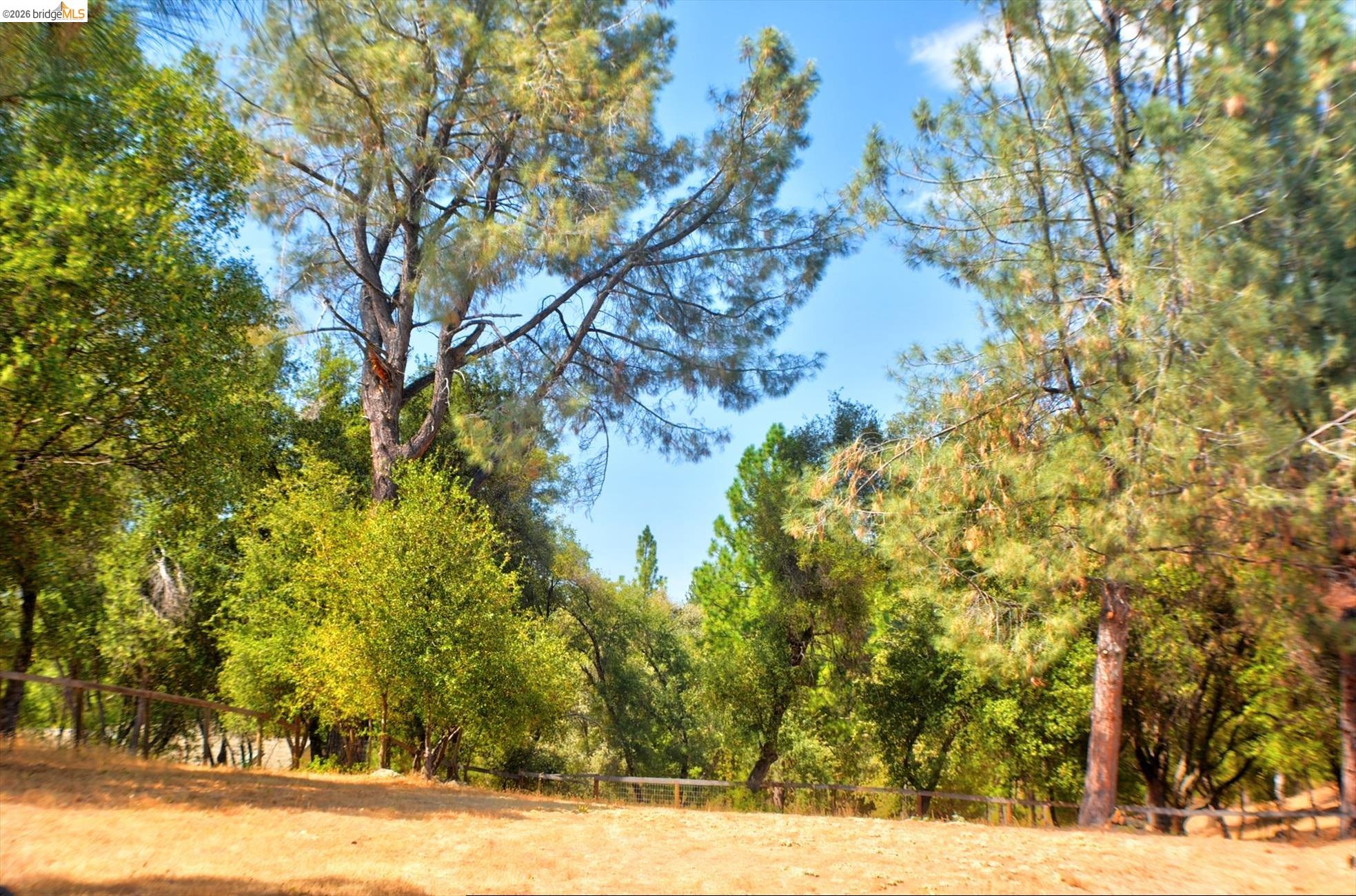 13323 Mule CT, Groveland CA 95321 — photo 15