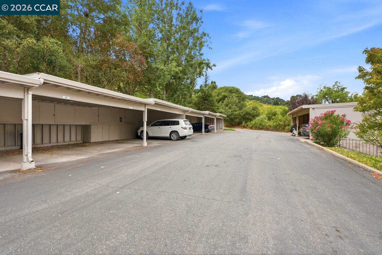 167 Miramonte Dr, Moraga CA 94556 — photo 52