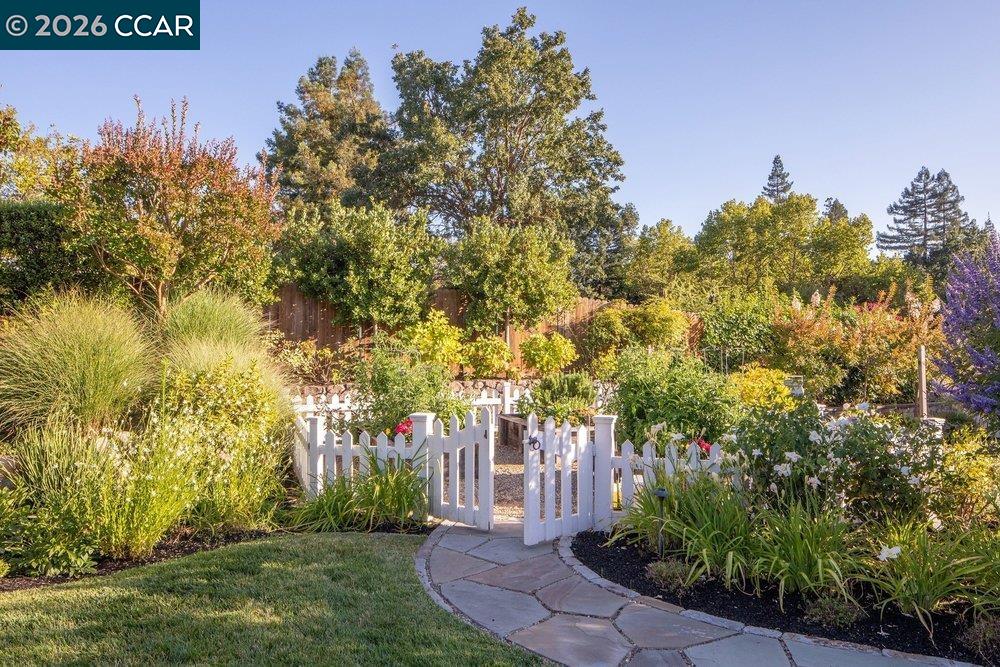 694 Los Palos Dr, Lafayette CA 94549 — photo 43