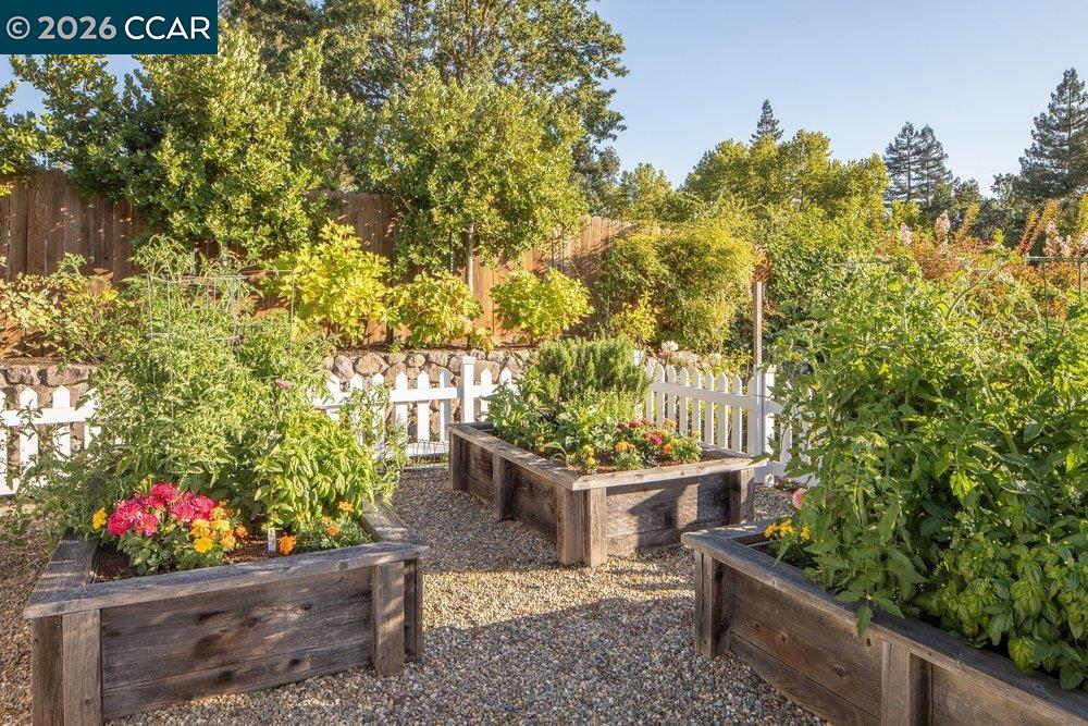 694 Los Palos Dr, Lafayette CA 94549 — photo 44