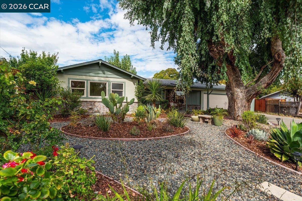 31 Rogers CT, Pleasant Hill CA 94523 — photo 43