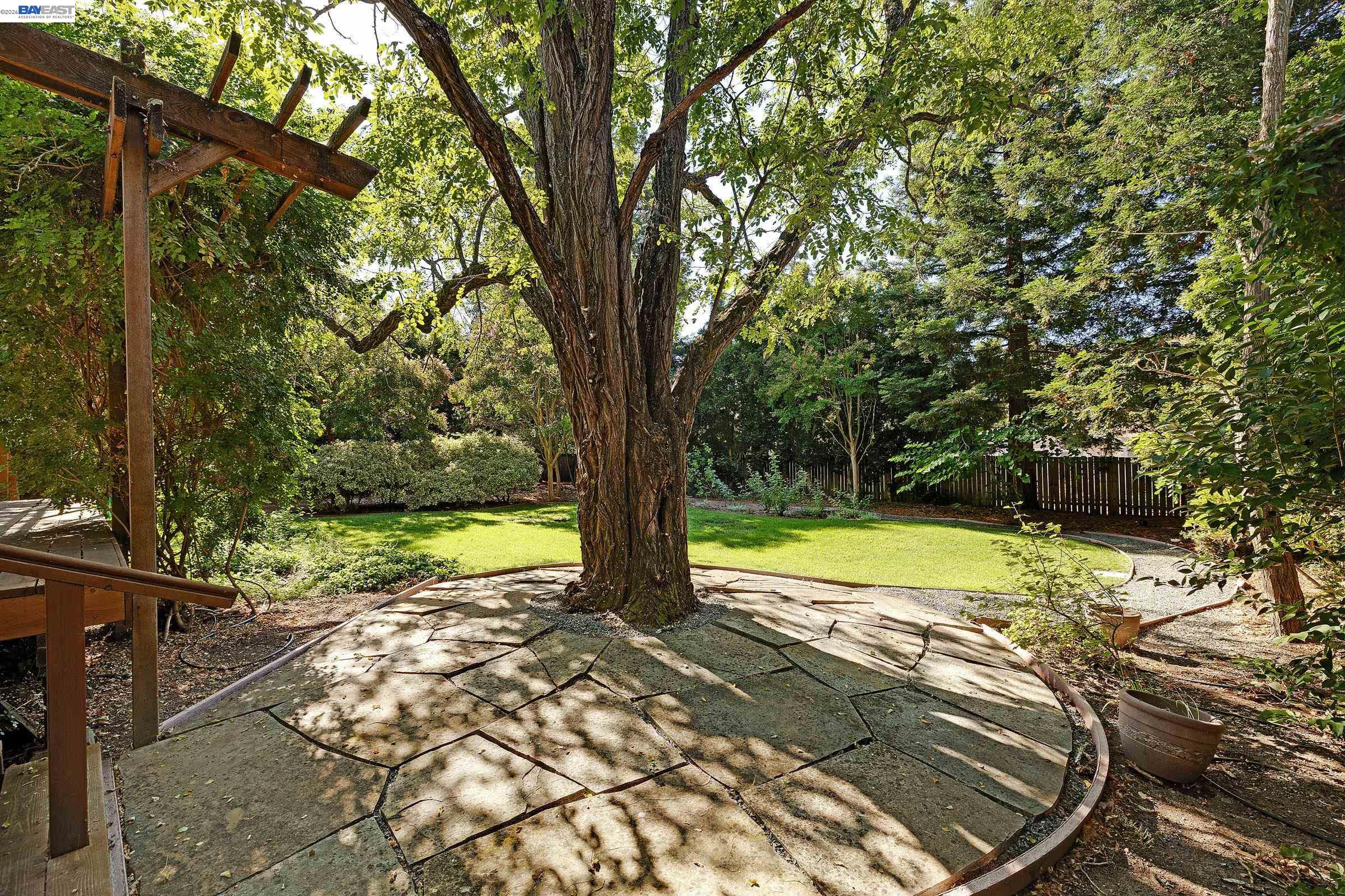 659 Peach St, Novato CA 94945 — photo 37
