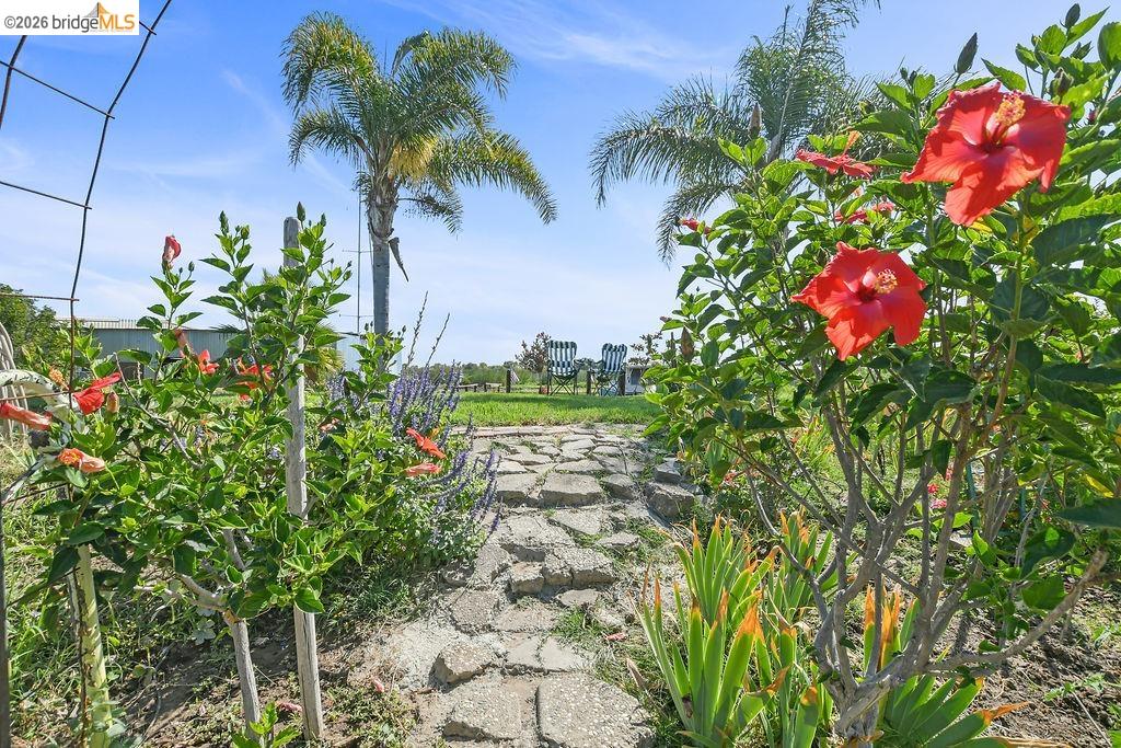 5108 Sandmound Blvd, Oakley CA 94561 — photo 46