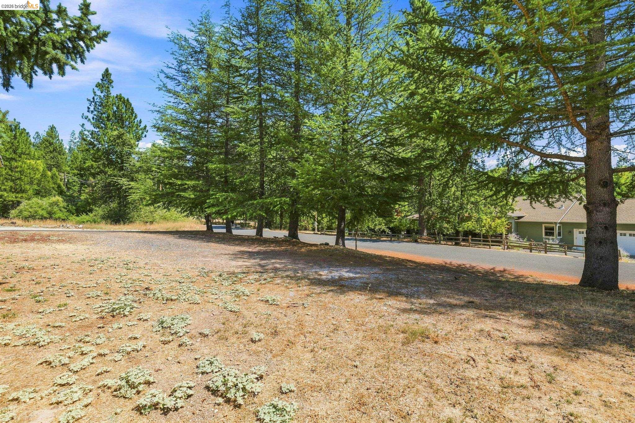17202 Suez Canal Dr, Sonora CA 95370 — photo 29