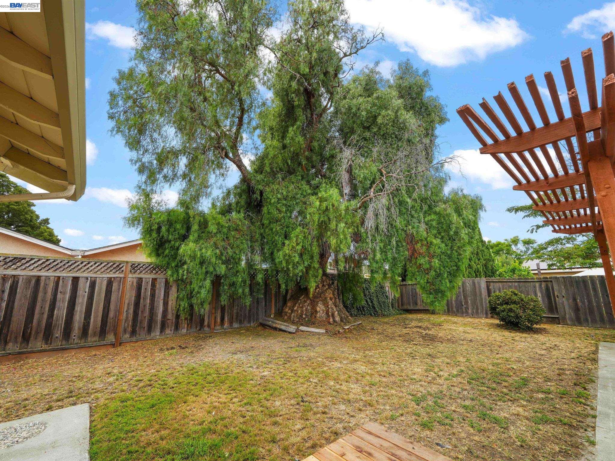 38399 Birch Street, Newark CA 94560 — photo 34