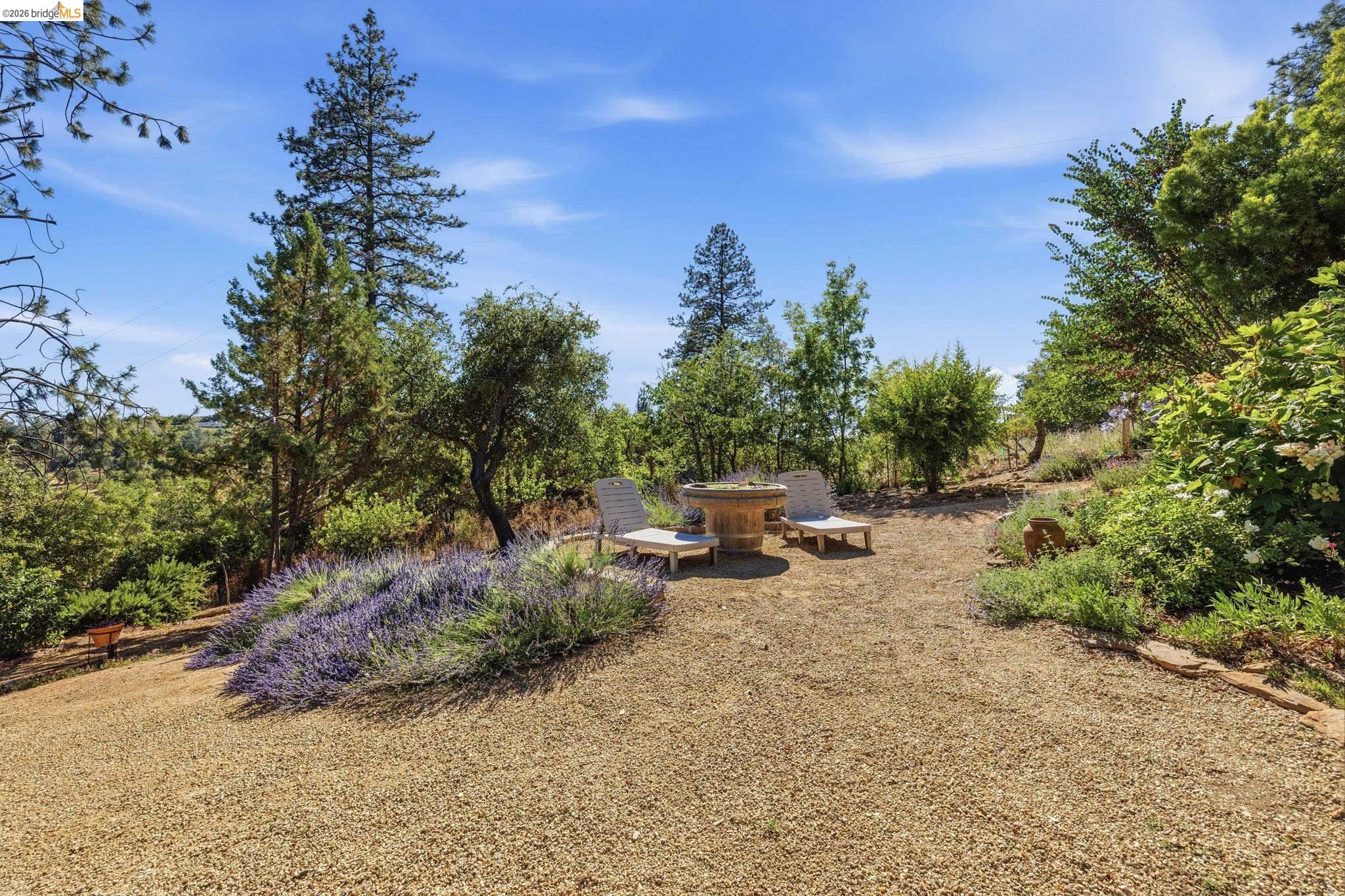 22890 MOUNT HOLLY LN, Columbia CA 95310 — photo 65