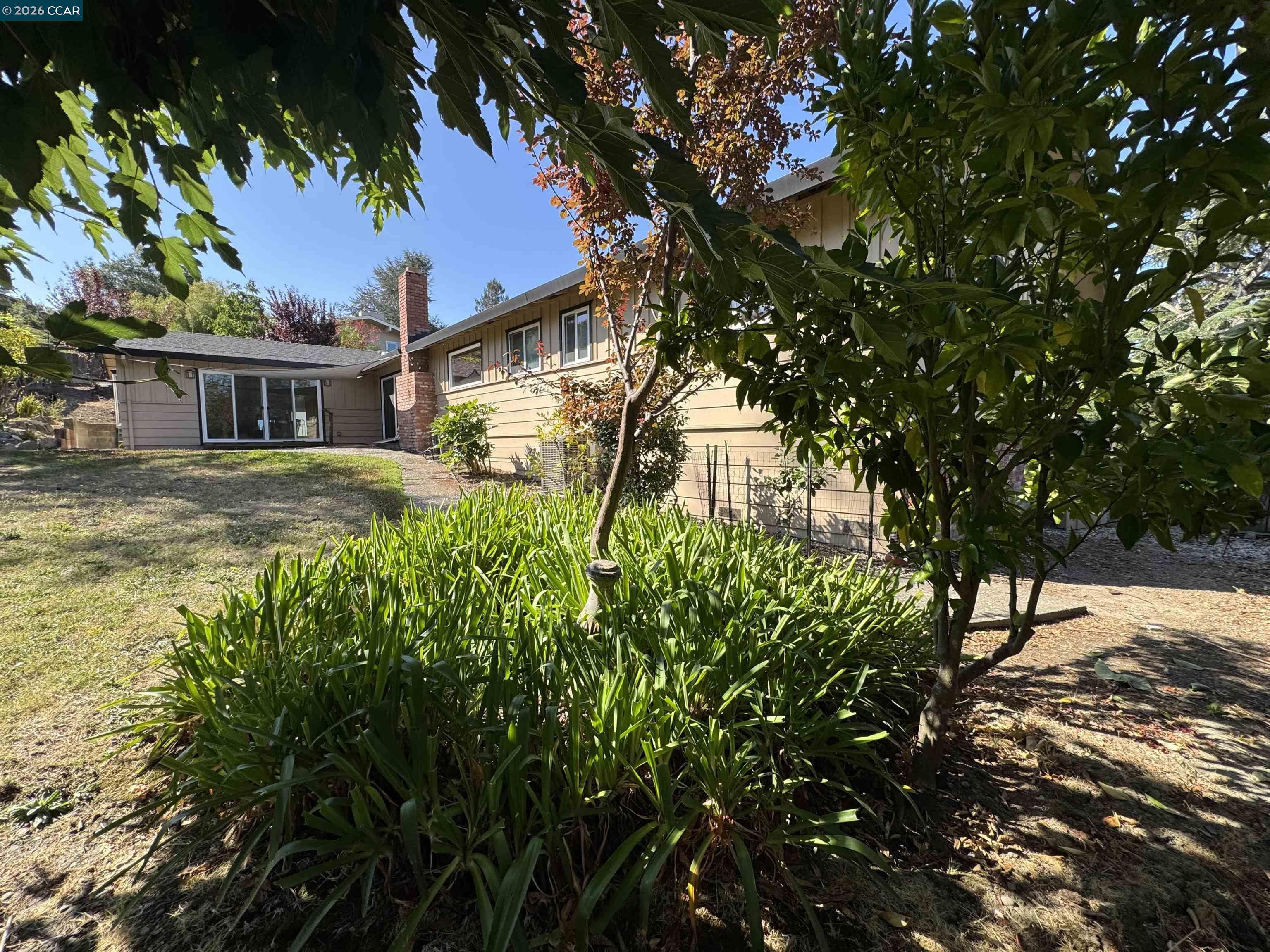 1167 Larch Ave, Moraga CA 94556 — photo 15