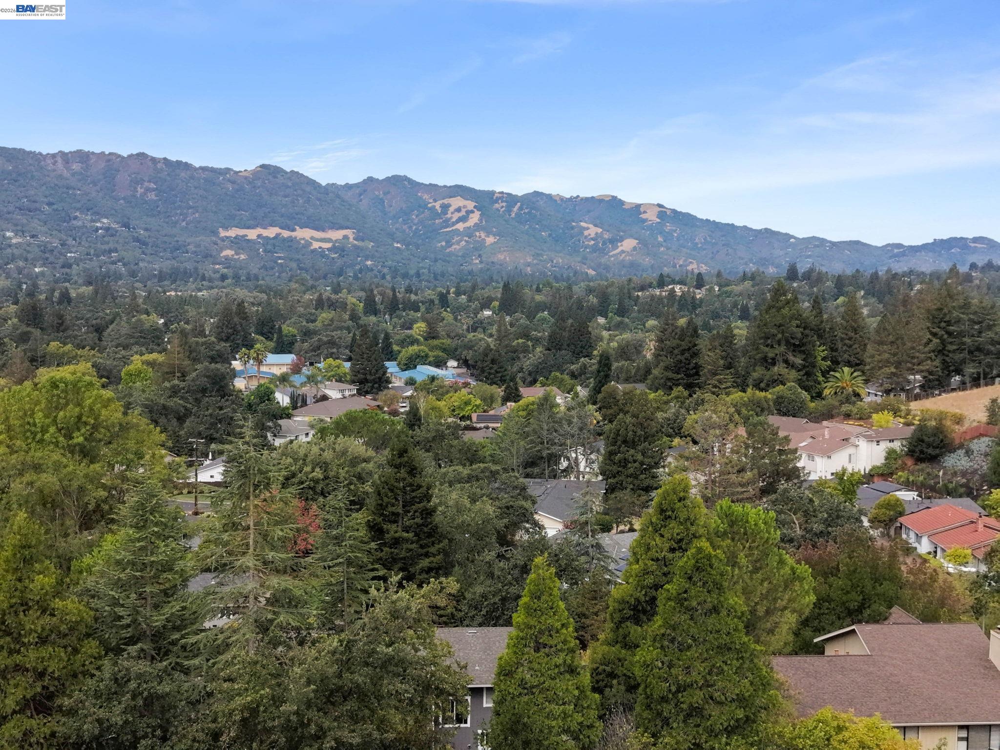 222 Arthur Ct, Danville CA 94526 — photo 20