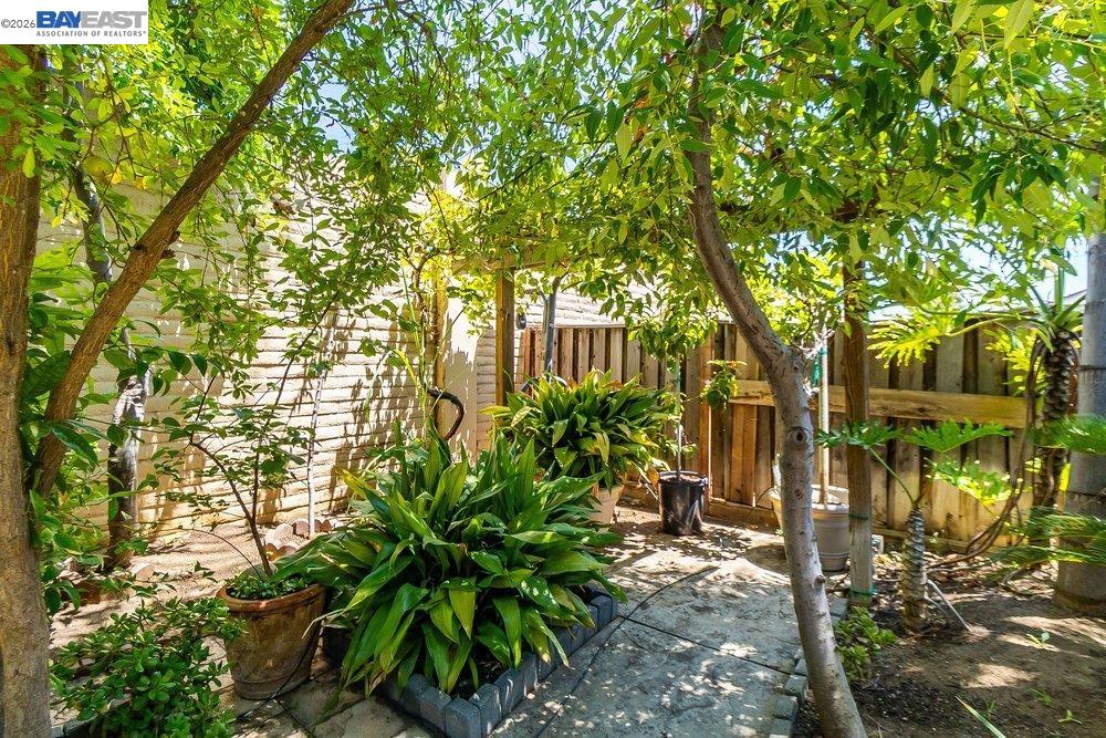 4746 Mammouth Ln, Oakley CA 94561 — photo 62