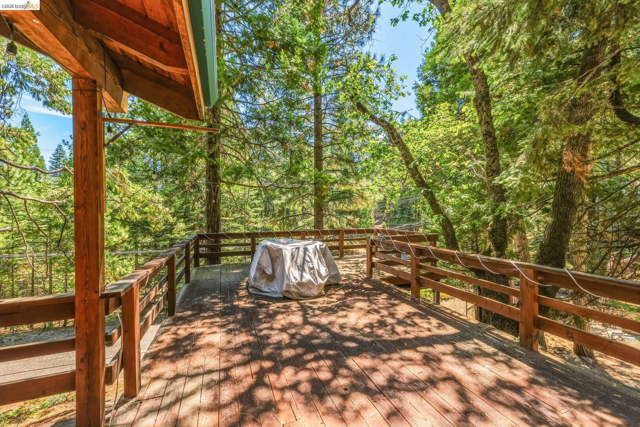 29576 Lassen Dr, Cold Springs CA 95335 — photo 29