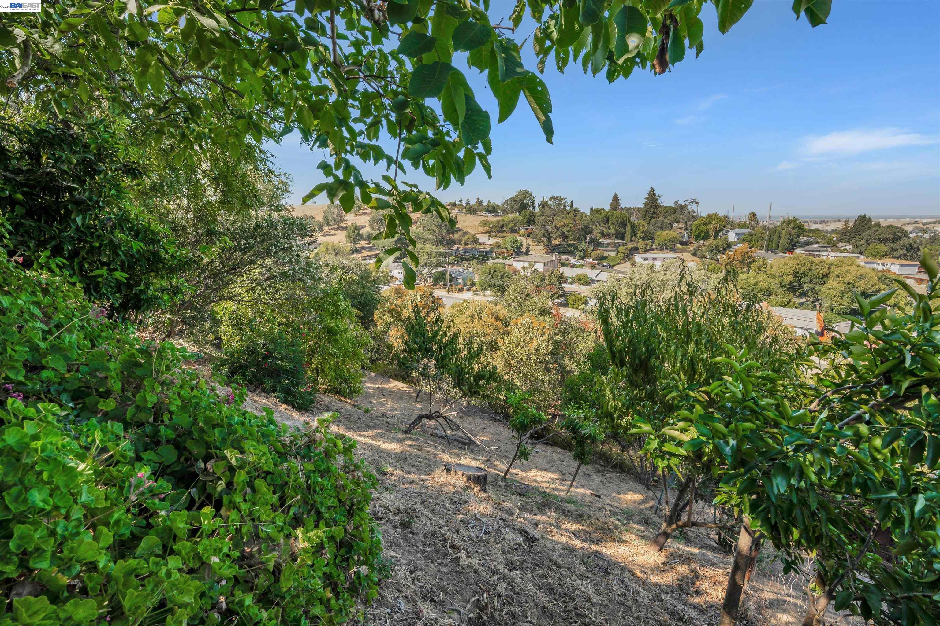 327 Kingston Ave, Martinez CA 94553 — photo 41