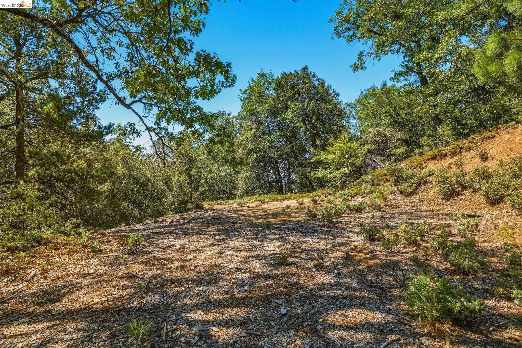 16620 Charles Otter Dr, Cedar Ridge, CA 95370 photo 42