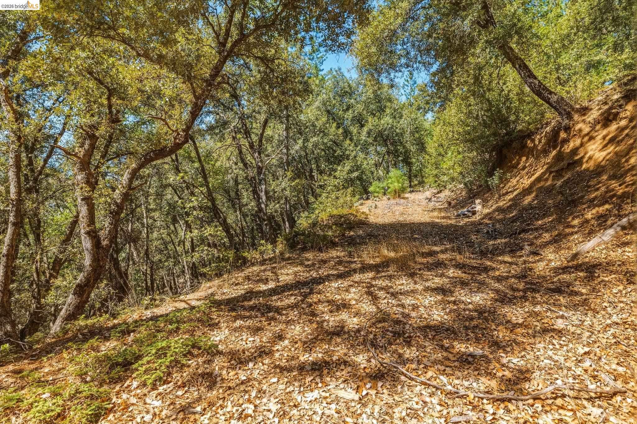 16620 Charles Otter Dr, Sonora CA 95370 — photo 42