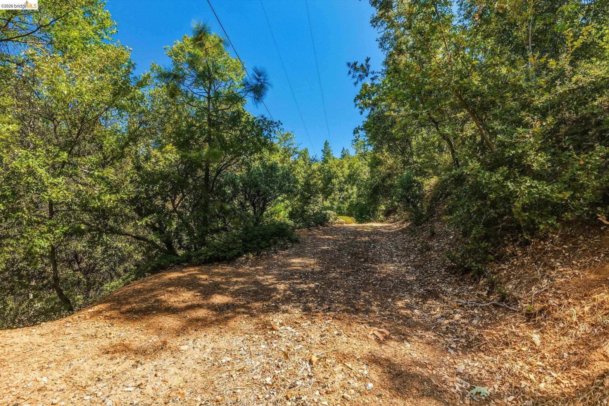 16620 Charles Otter Dr, Cedar Ridge, CA 95370 photo 44