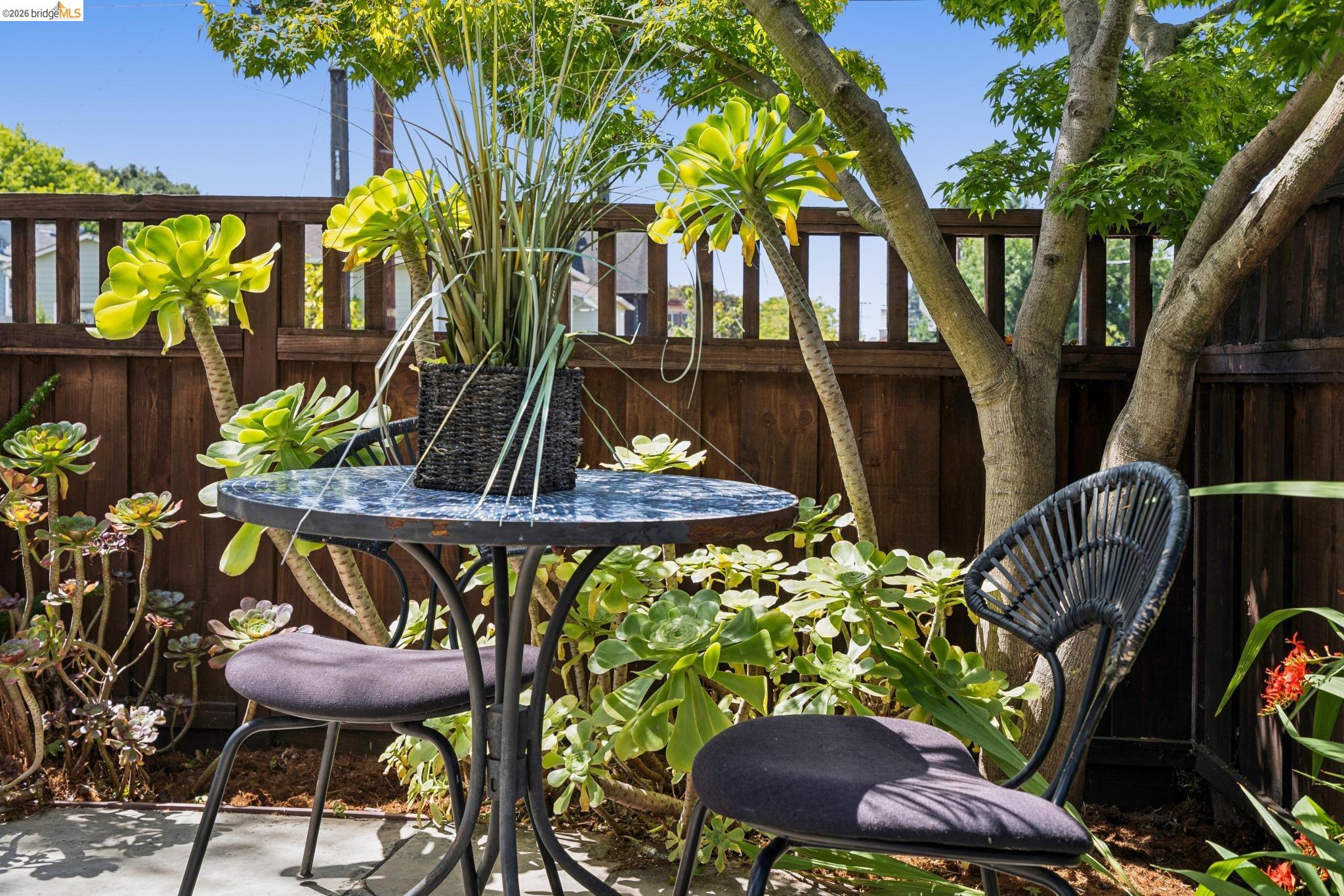 1701 Derby Street, Berkeley CA 94703 — photo 38