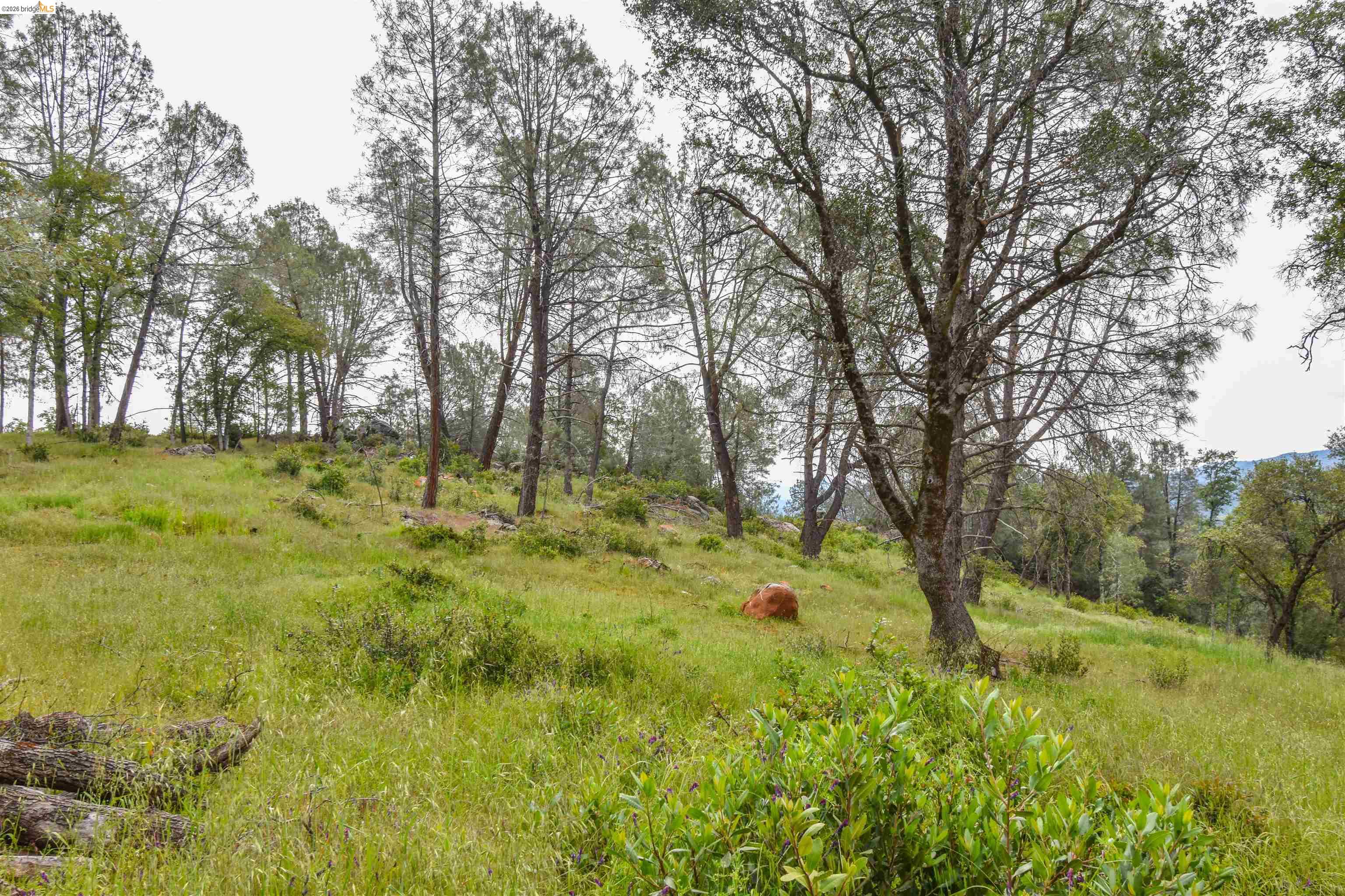 17270 Robin Ridge, Sonora CA 95370 — photo 52