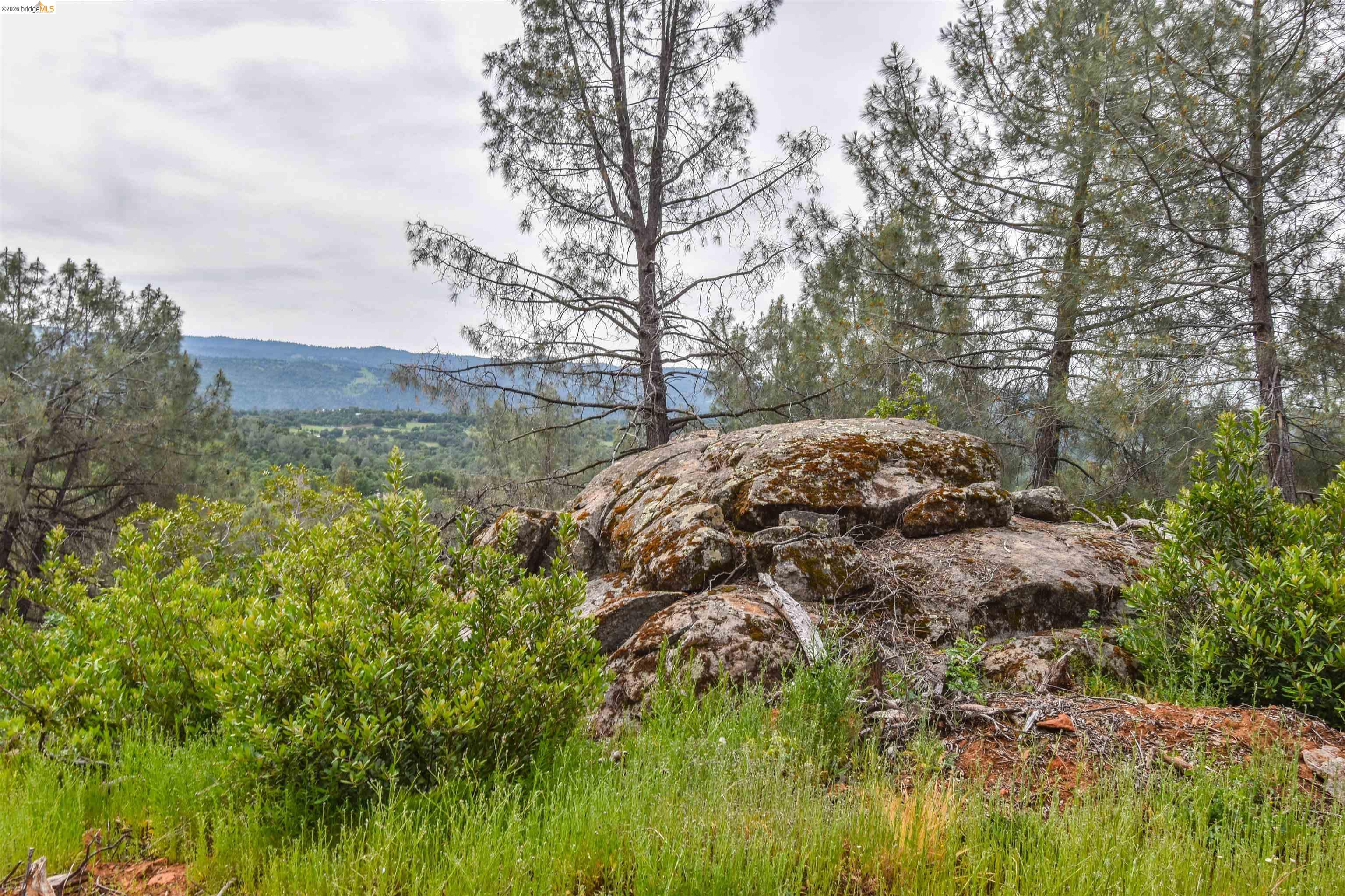 17270 Robin Ridge, Sonora CA 95370 — photo 54