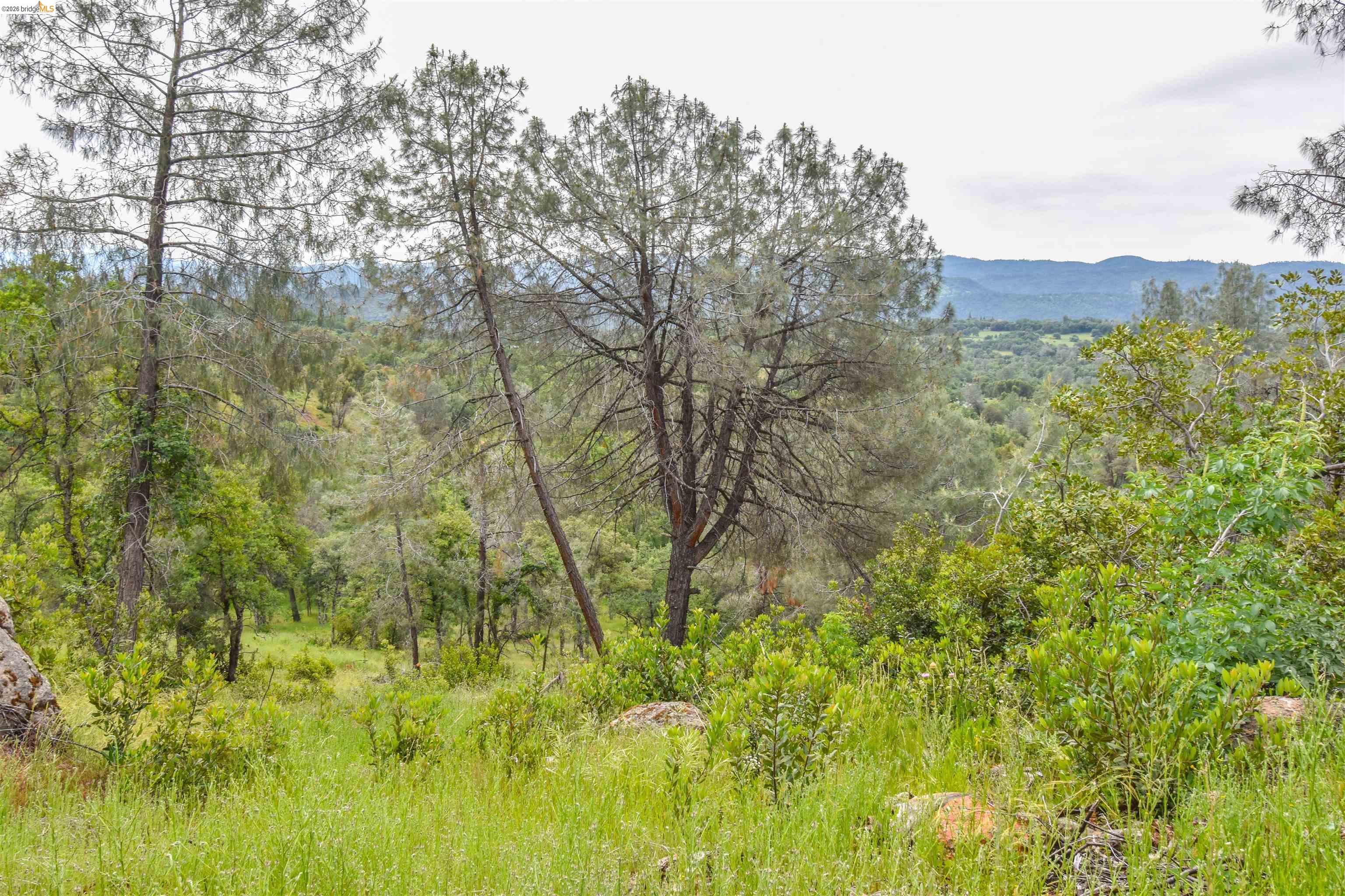 17270 Robin Ridge, Sonora CA 95370 — photo 55