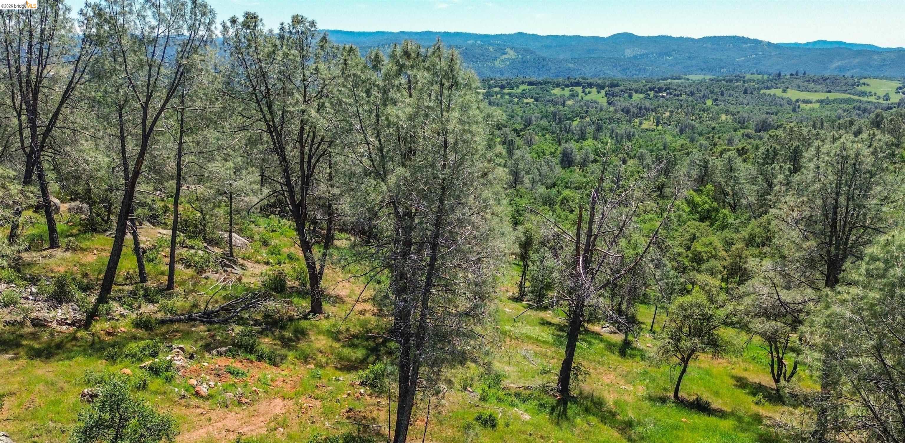 17270 Robin Ridge, Sonora CA 95370 — photo 60