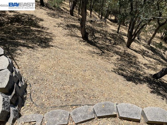 506 Oakshire Pl, Alamo CA 94507 — photo 45