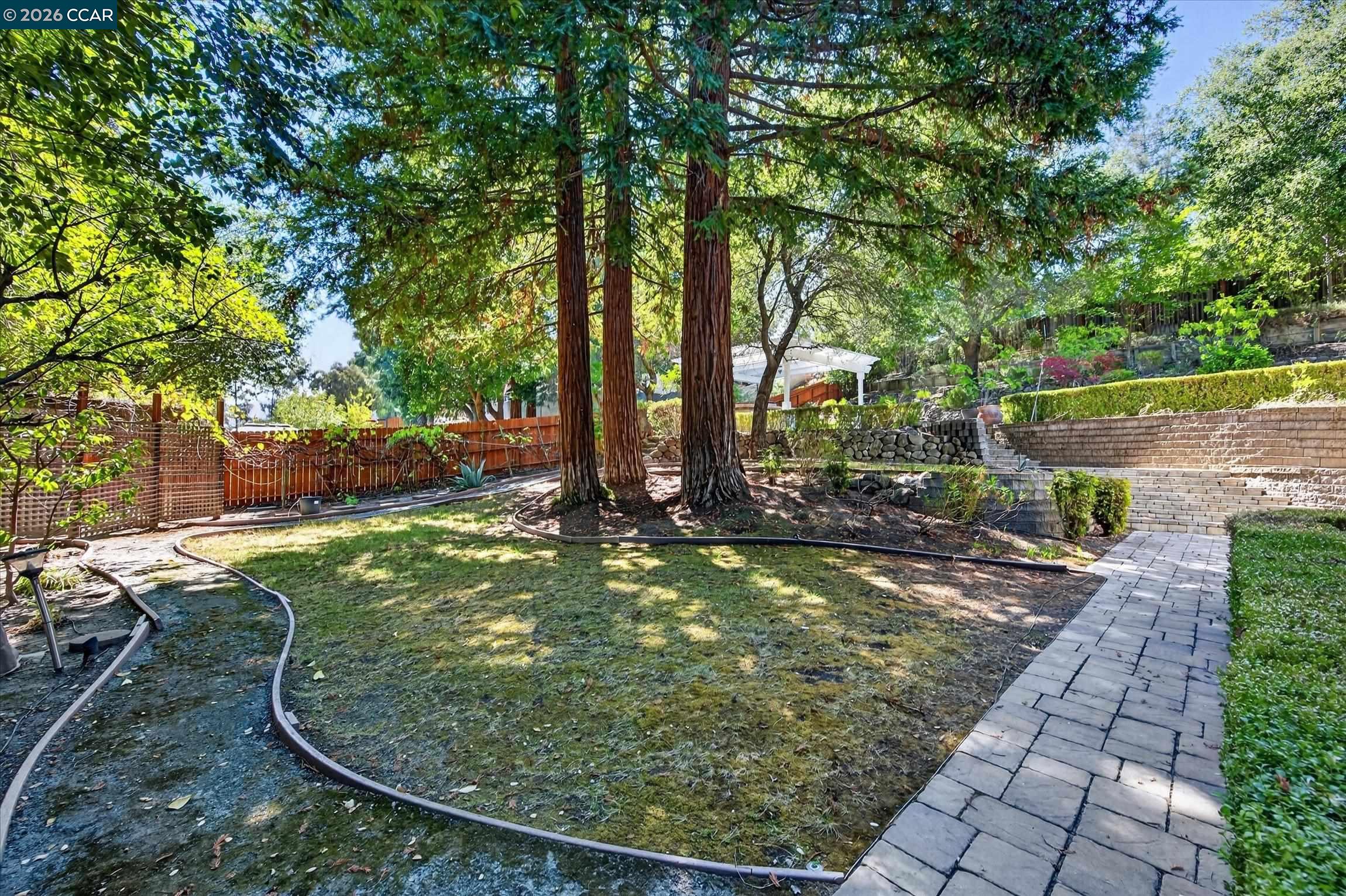 891 Livorna Rd, Alamo CA 94507 — photo 50