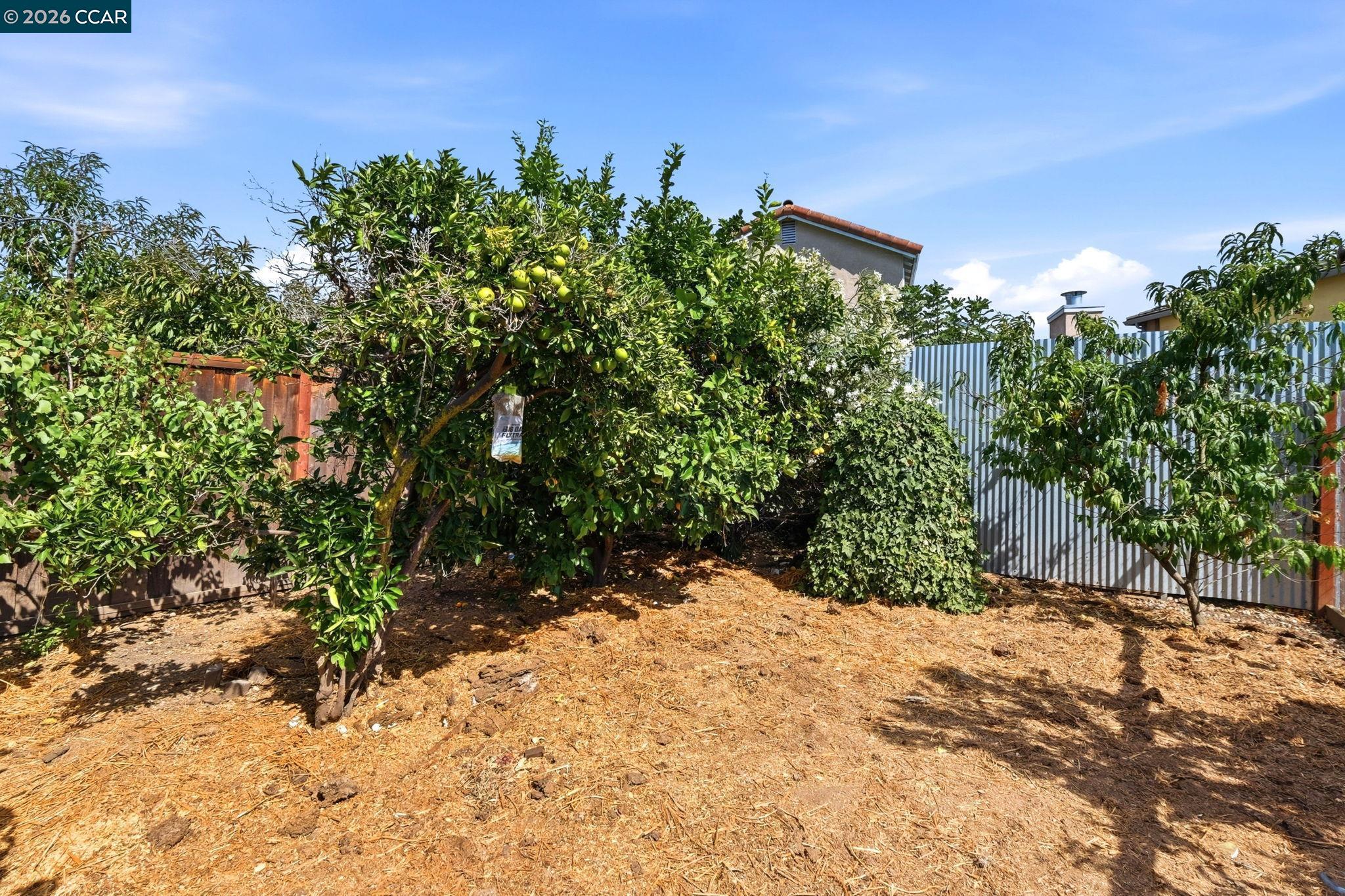 1736 Halsey Ave, San Leandro CA 94578 — photo 41