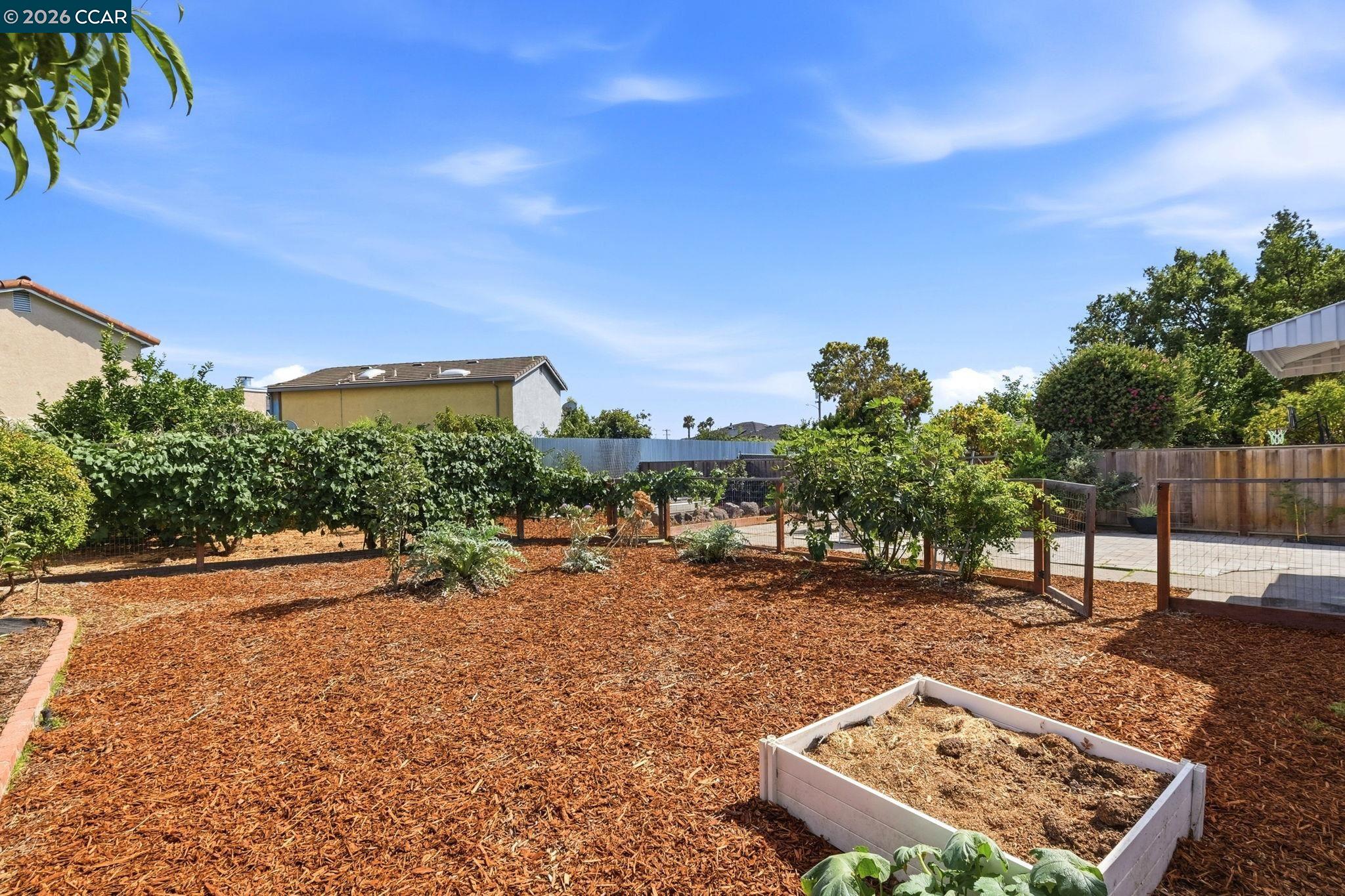 1736 Halsey Ave, San Leandro CA 94578 — photo 42