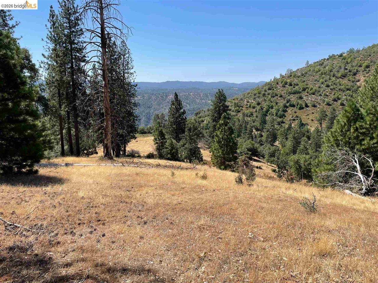 00000 Forrest Rd 1N19, Tuolumne CA 95379 — photo 2